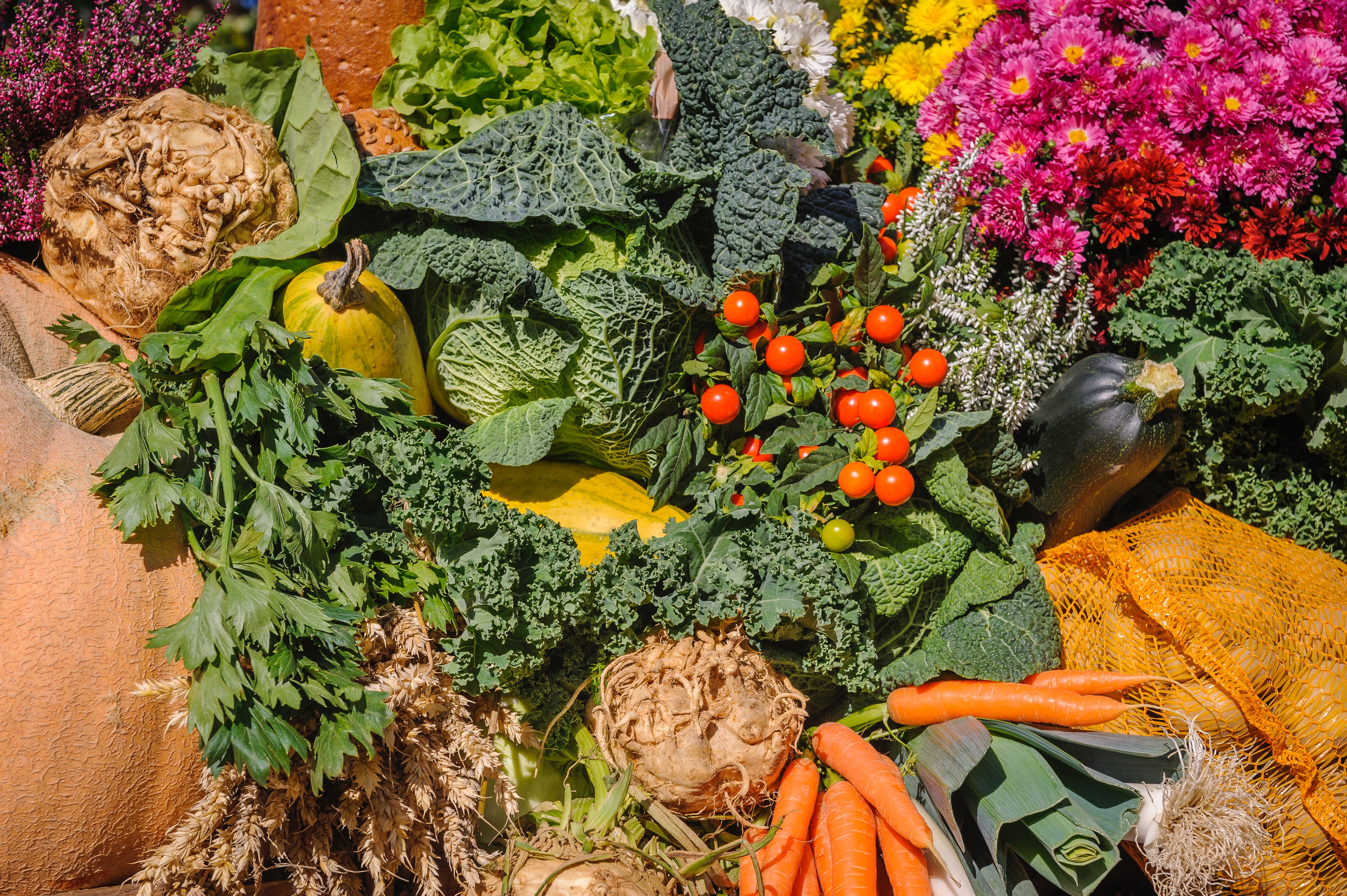Course Image Food and Beverage Cost Control